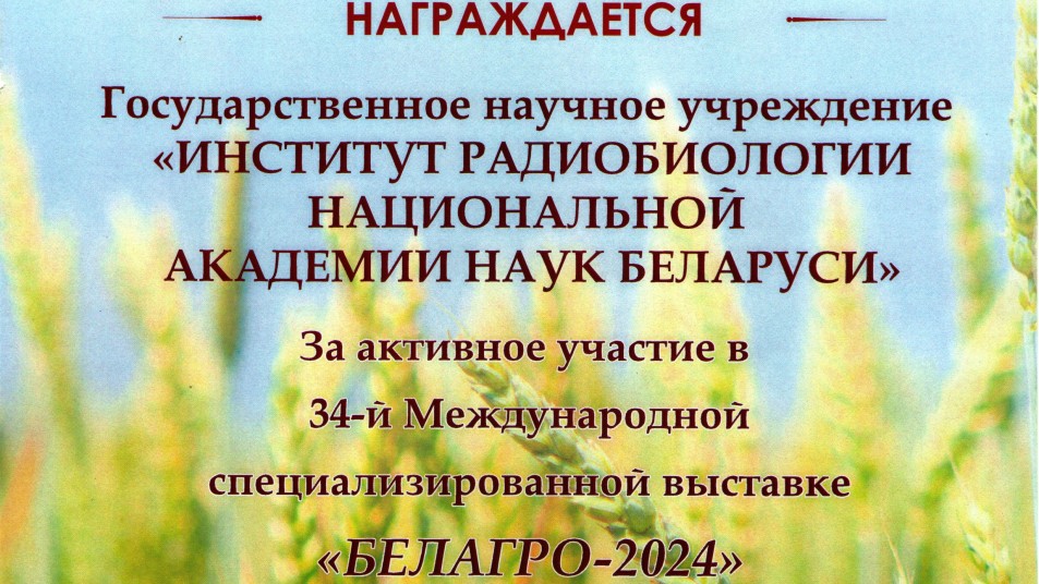 Диплом Белагро-2024